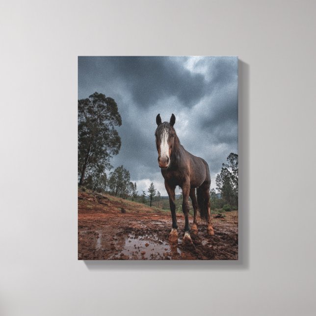 Strong Horse Under Stormy Sky Art Canvastryck (Framsida)