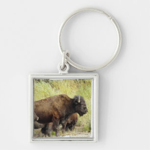 Ströva omkring buffeln Keychain Fyrkantig Silverfärgad Nyckelring