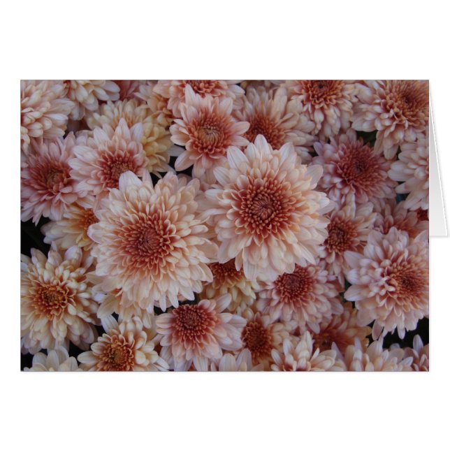 Struktur av lyckan/La textura de la alegría Hälsningskort (Framsidan Horizontal)