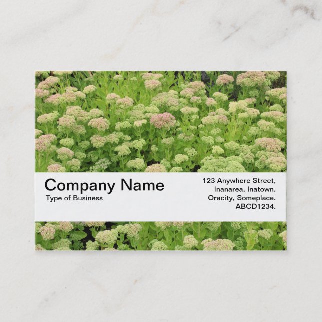 Struktur band V2 - blå höst Visitkort (Framsida)