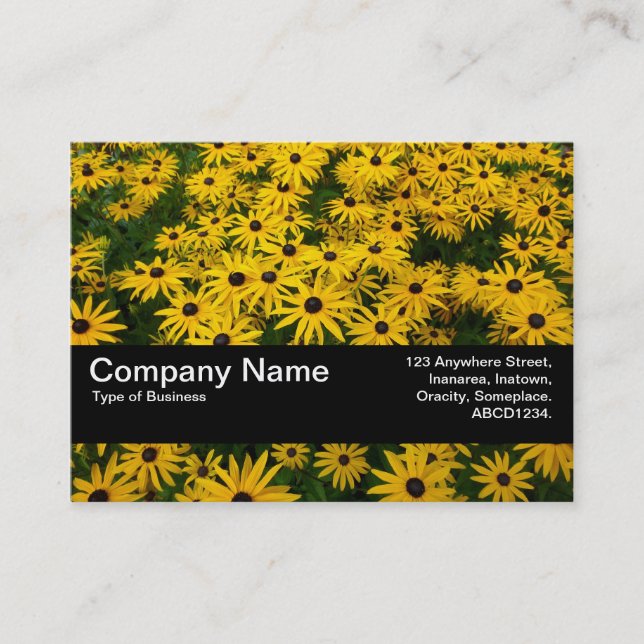 Struktur Band V2 - Svartögda Susans (Rudbeckia Hir Visitkort (Framsida)