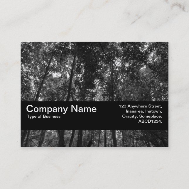 Struktur Band V2 - Woodland Canopy 02 BW Visitkort (Framsida)