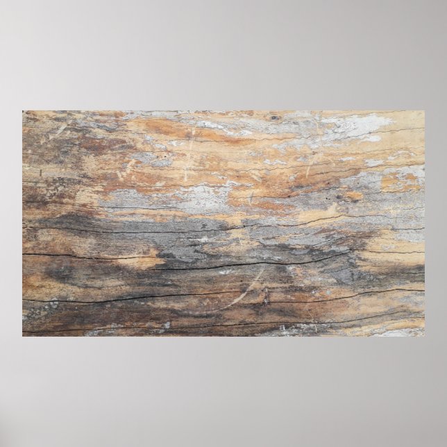 struktur, gammal, vacker treeabstrakt, bak poster (Framsidan)