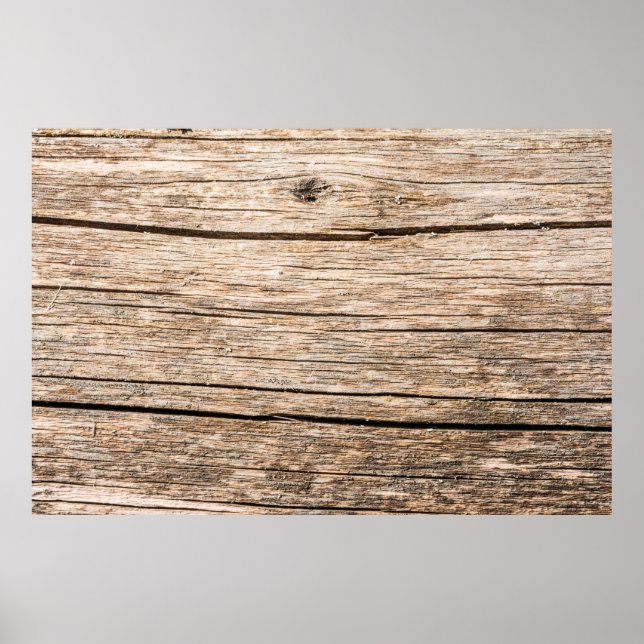 Struktur i en gammal trälogg utan bark med poster (Framsidan)