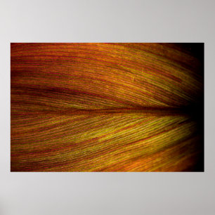 Struktur naturskyddsområde löv botany Makro Poster