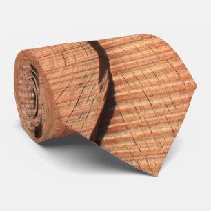 Struktur Slips