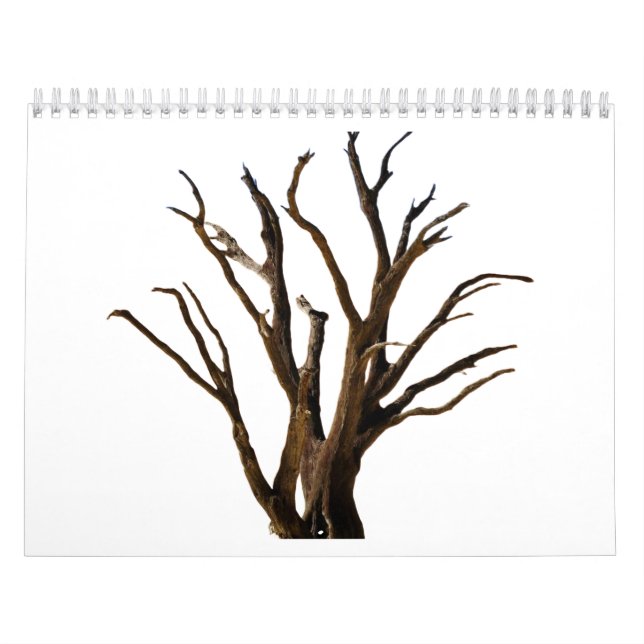 Struktur träd kalender (Omslag)