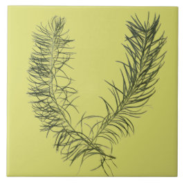 Strukturell sommarskatt på keramiskt plattor - B Kakelplatta