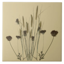 Strukturella kurvor av vinter (A) på keramiska pla Kakelplatta