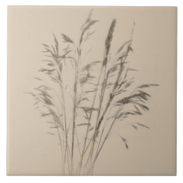 Strukturella kurvor av vinter (B) på keramiska pla Kakelplatta