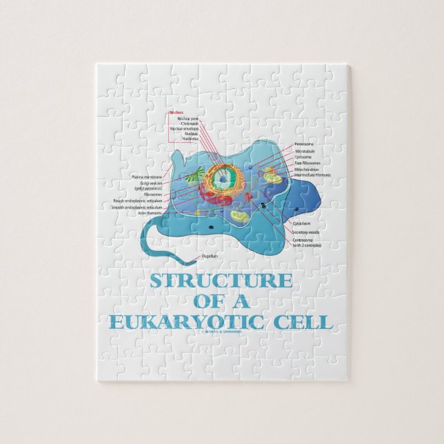 Strukturera av en Eukaryotic cell (eukaryoten) Pussel (Vertikal)