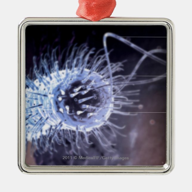 Strukturera av en helicobacterpyloricell julgransprydnad metall (Framsidan)