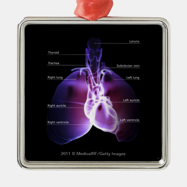 Strukturera av hjärtan och lungsna julgransprydnad metall (Framsidan)