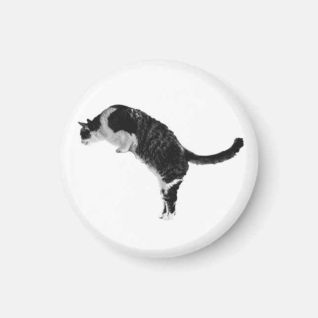 Strukturerad kattmagnet magnet (Framsidan)