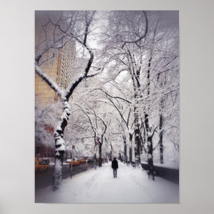 Strullande A Snowy City Sidepromenad Poster