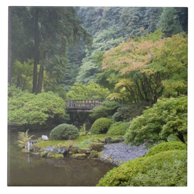 Strullande damm med Måne Bridge Kakelplatta (Framsidan)