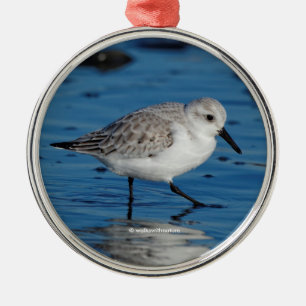 Strullande Sanderling Sandpiper på stranden Julgransprydnad Metall