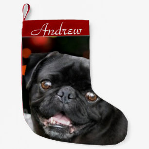 Strumpa för julmopshund