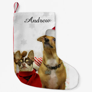 Strumpa för personlig för julChihuahuahundar