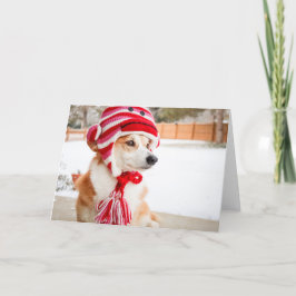 Strumpmonkeymössa Corgi tom hälsningskort Kort