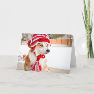 Strumpmonkeymössa Corgi tom hälsningskort Kort