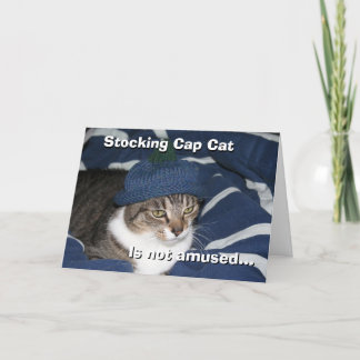 Strumpmösskatten är inte road kort
