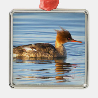 Strupsjöfågel Ank Ornament