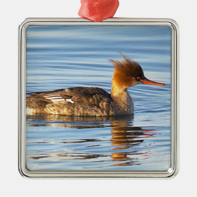 Strupsjöfågel Ank Ornament (Framsidan)