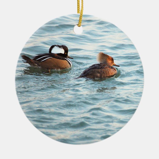 Strupsjöfåglar Ornament (Framsidan)