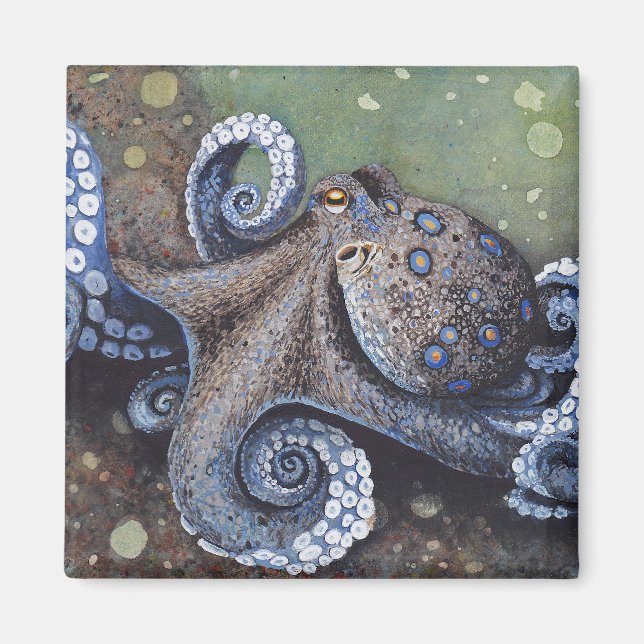 Strut Magnet (Framsidan)