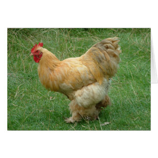 Strut min Saker Hälsningskort