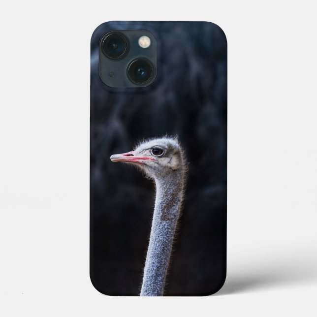 strutch porträtt (Baksida)