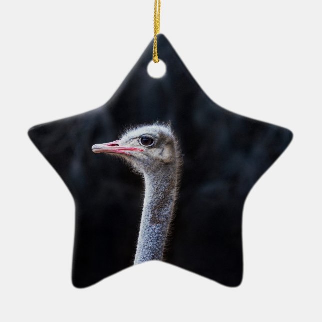 strutch porträtt julgransprydnad keramik (Framsidan)