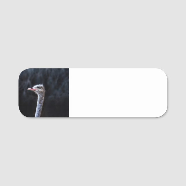 strutch porträtt namnbricka (Framsida)