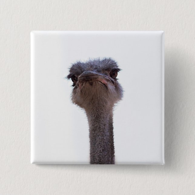 struts knapp (Framsida)