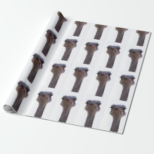 struts presentpapper