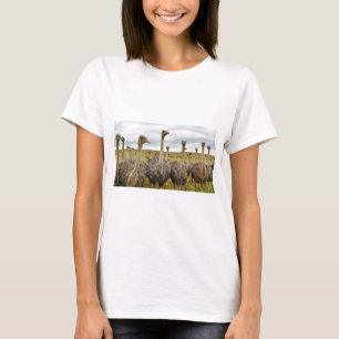 struts t-shirt