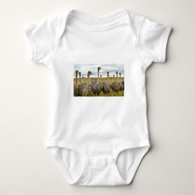struts t-shirt (Framsida)