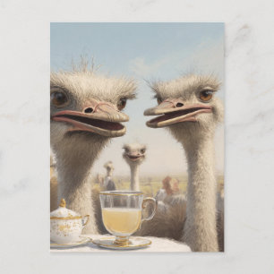 Struts Teatime Vykort
