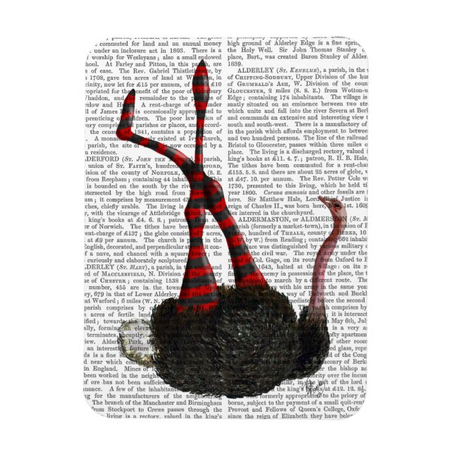 Strutsar med stripe magnet (Vertikal)