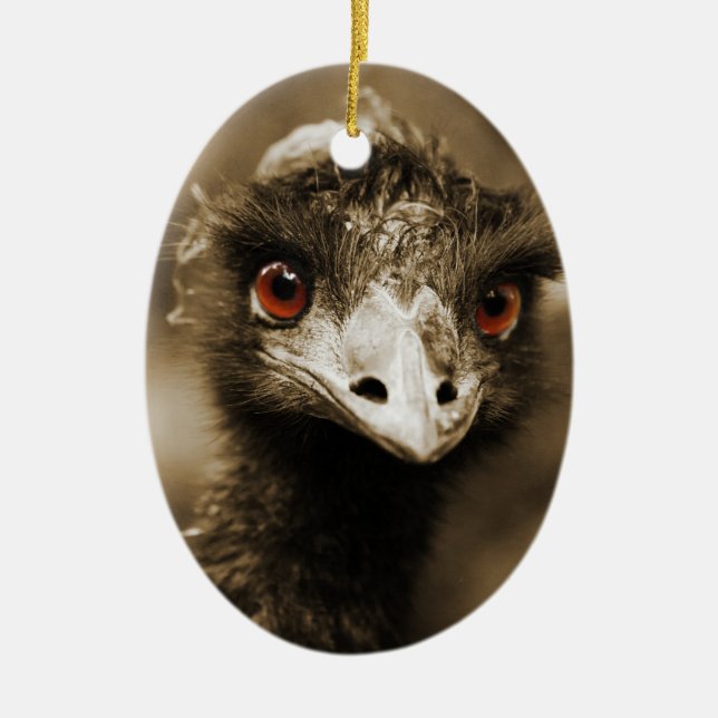 Strutsar ser ornament (Framsidan)