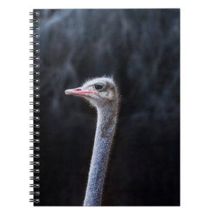 Strutsfotografering Anteckningsbok