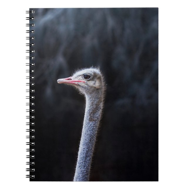 Strutsfotografering Anteckningsbok (Framsidan)