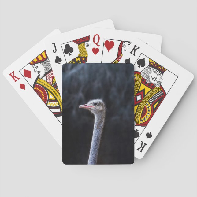 Strutsfotografering Casinokort (Baksidan)