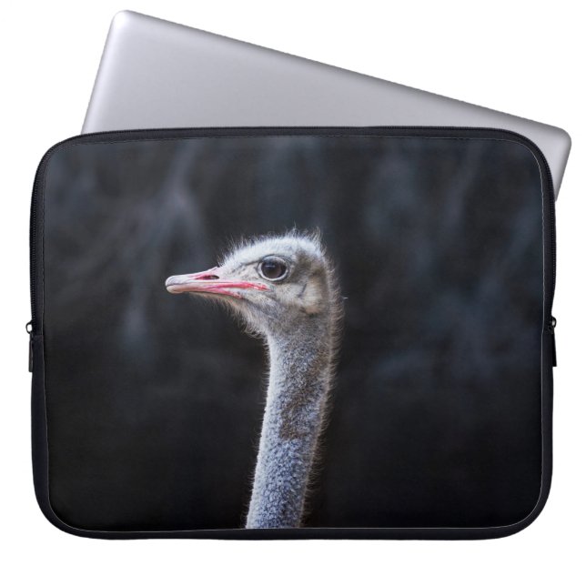 Strutsfotografering Laptop Fodral (Framsidan)