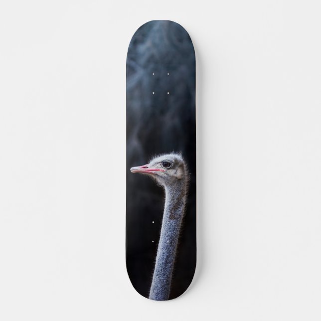 Strutsfotografering Mini Skateboard Bräda 18,5 Cm (Framsida)