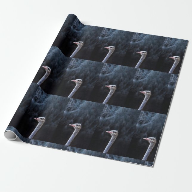 Strutsfotografering Presentpapper (Utrullad)