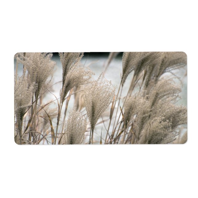 Stryk på vintern fraktsedel (Framsidan)