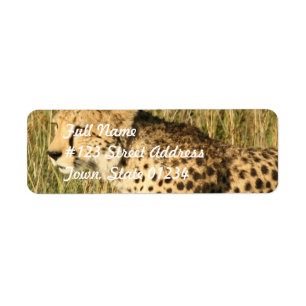 Stryka omkring Cheetahbrevskickandeetiketten Returadress Etikett