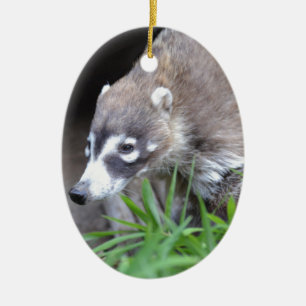 Stryka omkring coatien julgransprydnad keramik